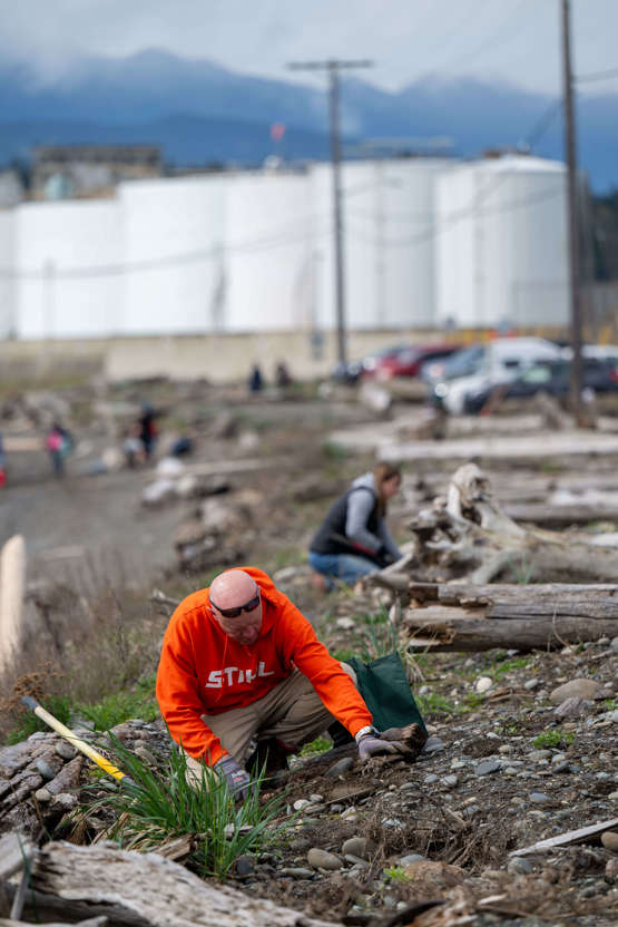 Several volunteers lean down to plant plants on a beach, with a man in bright orange in the foreground