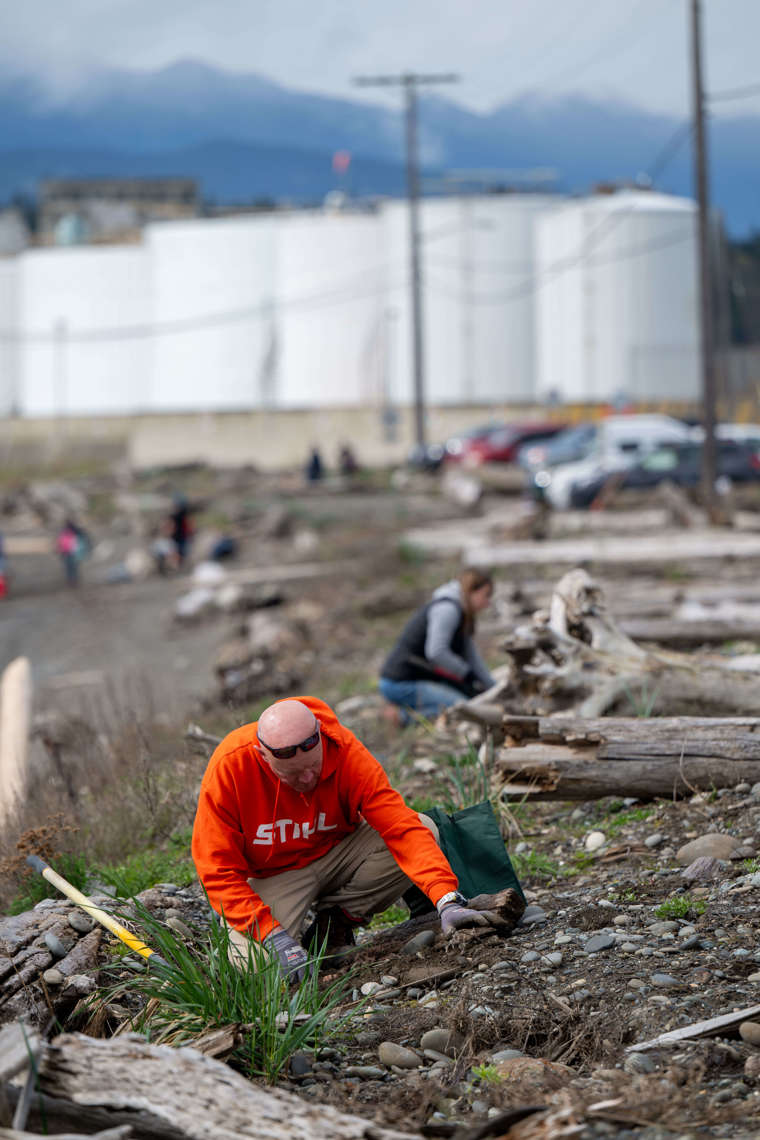 Several volunteers lean down to plant plants on a beach, with a man in bright orange in the foreground